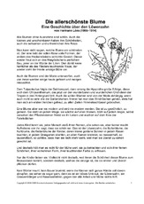 Die-allerschönste-Blume-Löns-Sw-1.pdf